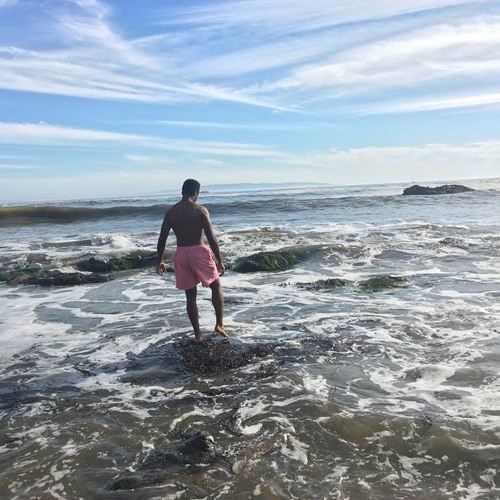 .WAVES