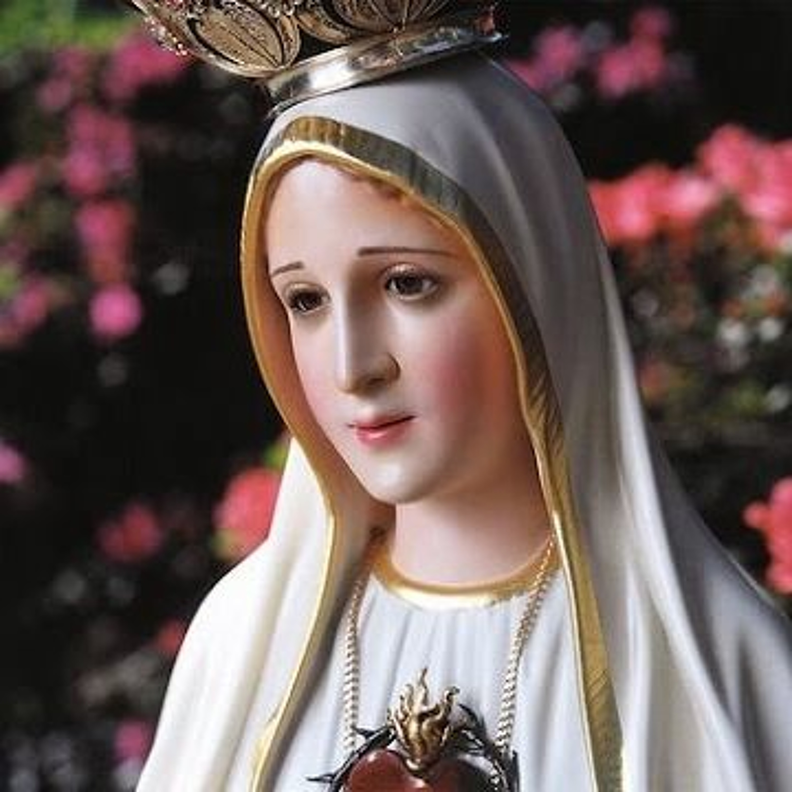 Fatima 100 Years Sts Jacinta and Francisco episode artwork