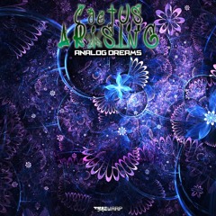 "Analog Dreams" EP Preview (Soon on Timewarp Records)