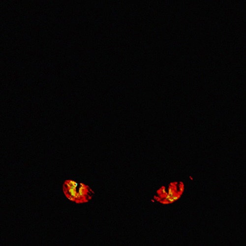 00_nightmare eyes