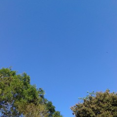 Sara Barailles - Gravity (Cover)