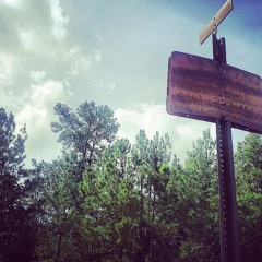 N E V ER. S O N. M E