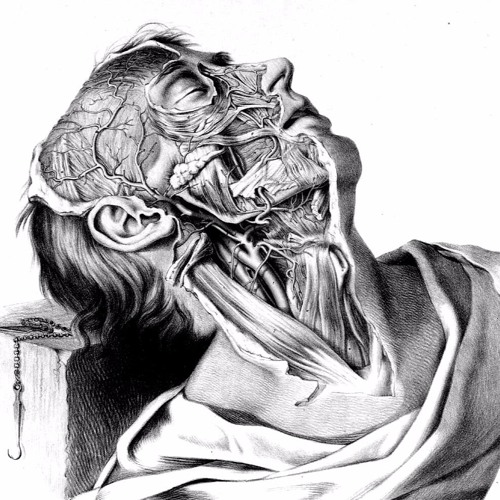 SVNGHSTPWR FLAYED