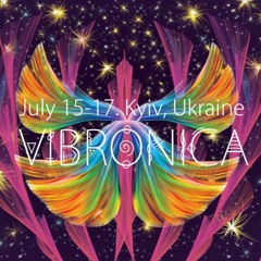 Vibronica Festival 2016. Live sets.