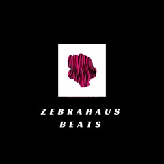 friends (prod. zebrahaus)