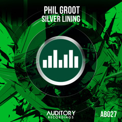 Phil Groot - Silver Lining