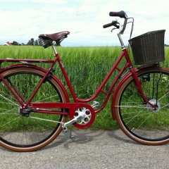 Cykelstöld 1