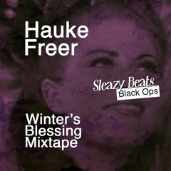 Hauke Freer - Winter's Blessing (Mixtape)