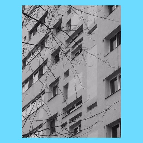 Blacktee - Nocturnal Blue