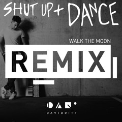 Walk the Moon - Shut Up and Dance (David Ritt Remix)