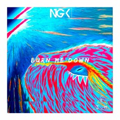 New Generation Kids - Burn Me Down (ft. Ruben Hultman )