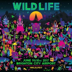 Wild Life Comp Mix