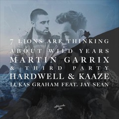 Martin G & Third P, HWL & KAAZE, Lukas Ft. J.S - 7 Lions Are Thinking About Wild Years (Alex S Edit)