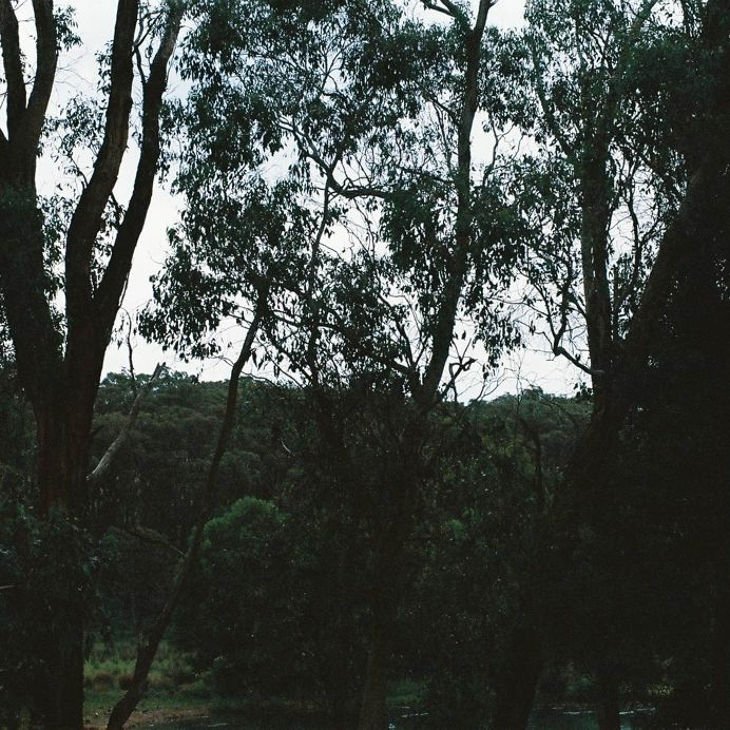 Ep.51 w/. Albrecht La'Brooy (Analogue Attic/Butter Sessions // AU) - 14 May 2017 episode artwork