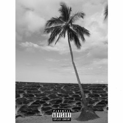 paradise (prod cxdy)