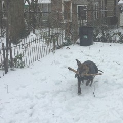 Gene Pick - Impedance Bond (excerpt)