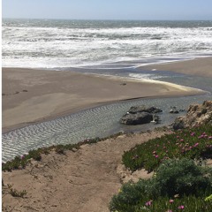 She's Goin.Ft Lil Mexico (SaydoBo$$man)