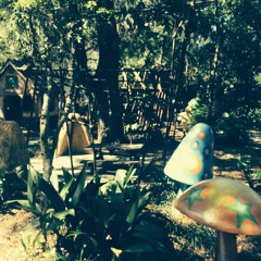 We Will Live Again #1