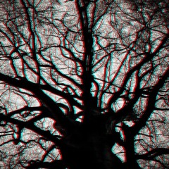 Xentum - ΜΌЯ ΒΣΛΝΚΑЯ ΔΣΠΡΣϚϚΝЯ