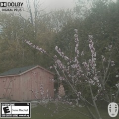 Knife - G2G (Prod. by eugenecam)