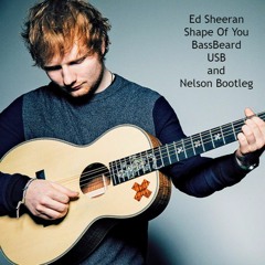 Ed Sheeran - Shape Of You (BassBeard, USB And Nelson Bootleg)