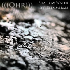 Shallow Water (ft. Efemmeral)