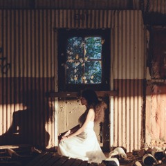 Cat B - 방안에서