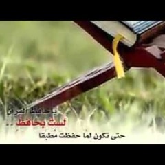 نور على مر الزمان تألقا