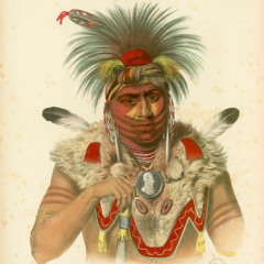 Flashback du patrimoine 1. Lettre en écho à History of the Indian Tribes de Vivianne Perret