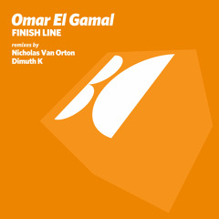 Omar El Gamal - What About (Nicholas Van Orton Remix)