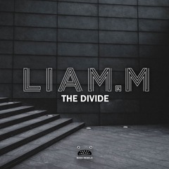 Liam.M - The Divide [Bass Rebels Release]