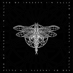 Sex Of Insects — I'm Full (Sergey Sanchez, Mag Day Chuk Remix)