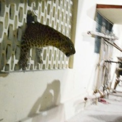 Killt By His Own Sword