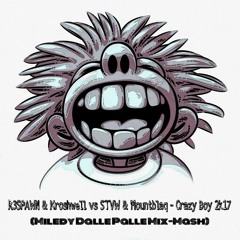 R3SPAWN & Kroshwell vs STVW & Mountblaq - Crazy Boy 2k17 (Miledy Dalle Palle Mix-Mash).mp3