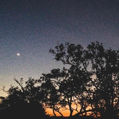 [Cover] Karen O - The Moon Song