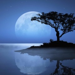 Melodic Techno Mixes