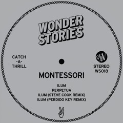 Montessori - Perpetua (Original Mix)