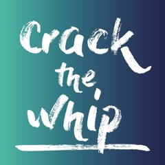 F1ZZY - Crack The Whip (Original Mix)