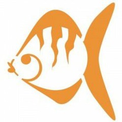 Mattia Vlad Morleo - Passando