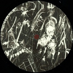 Remco Beekwilder - LSD (Unreleased)