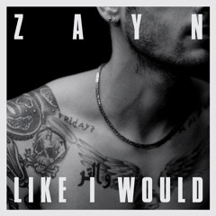 Zayn - Like I Would (Luca x Remix)