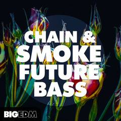 Chain & Smoke Future Bass | Sounds, Drums & Construction Kits