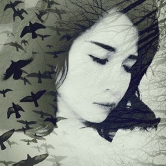 Miền Xa Thẳm - Thái Hằng