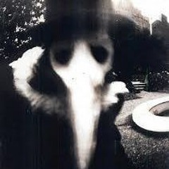 Il Est De Retour (Free DL)