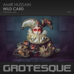 Amir Hussain - Wild Card [Preview]