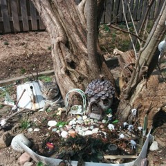 Zanele din gradina mea - capitolul 1 promo