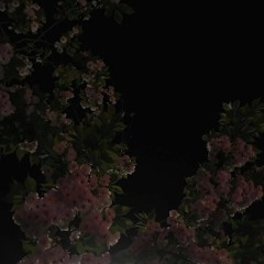 "Me Wouldn't Do U Like That Girl"