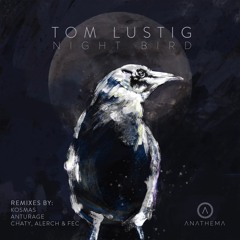 ANATH003 - Tom Lustig - Overtone (Original Mix)