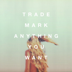 Anything You Want (Lady Gaga X Throttle X Snakehips)
