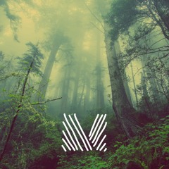 Deep in the Woods